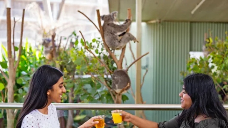 Best date ideas in Sydney