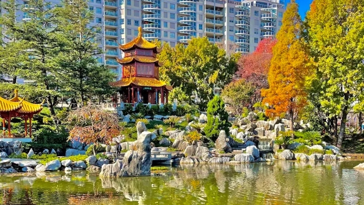 Autumn leaves in Sydney