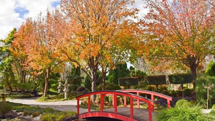 Autumn colours near Sydney