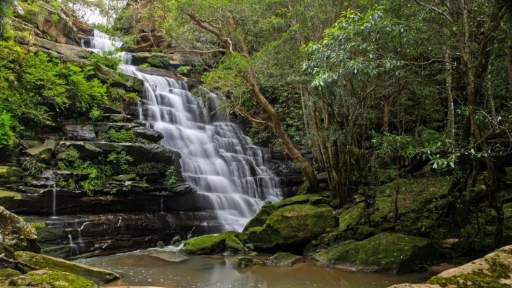 Phantom Falls Ku-ring-gai Wildflower Garden