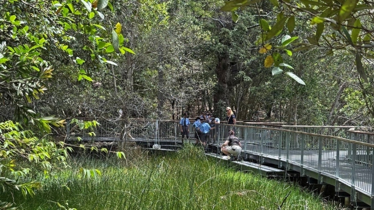 Banks Track and Boardwalk
