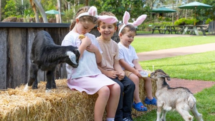 Ploddy's Easter Fair at The Australian Reptile Park