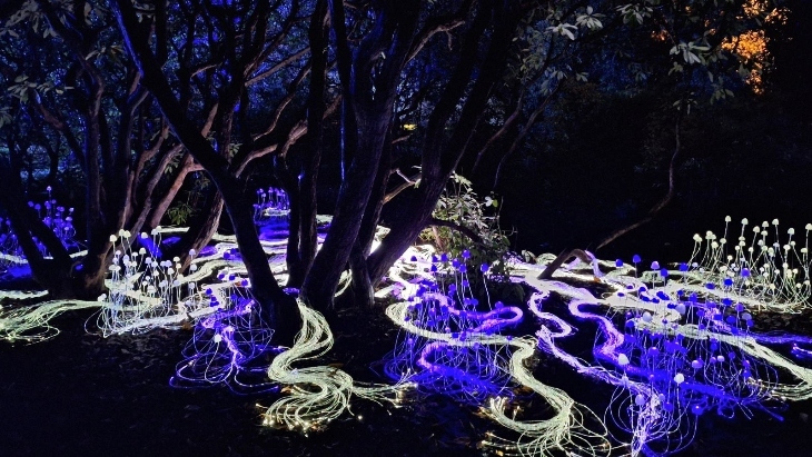 VIVID Sydney With Kids 2026