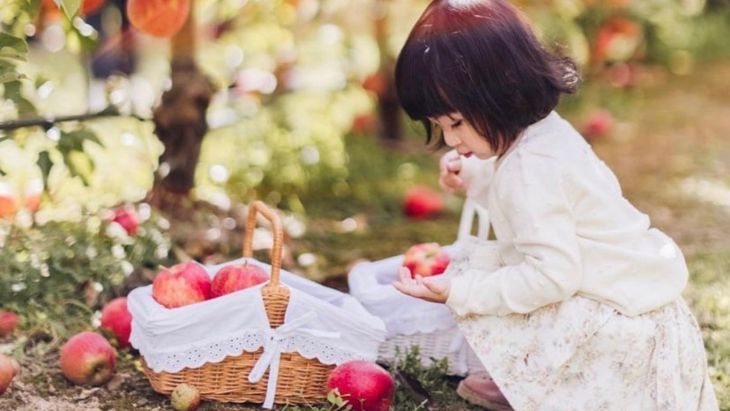 Fruit Picking in Sydney
