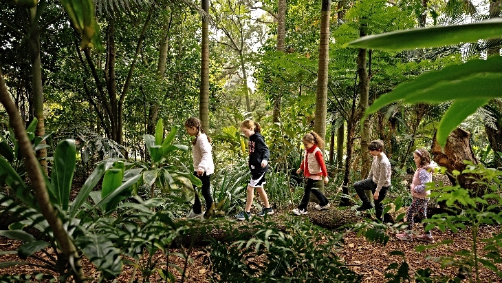 Budding Botanists at the Royal Botanic Garden Sydney