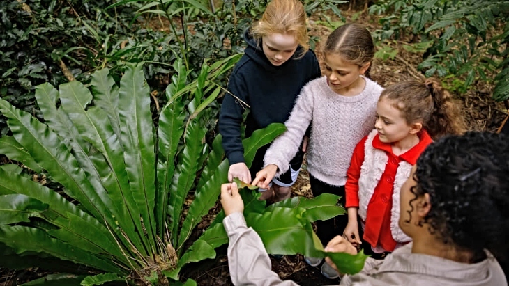 Budding Botanists School Holiday Workshop at the Botanic Gardens of Sydney