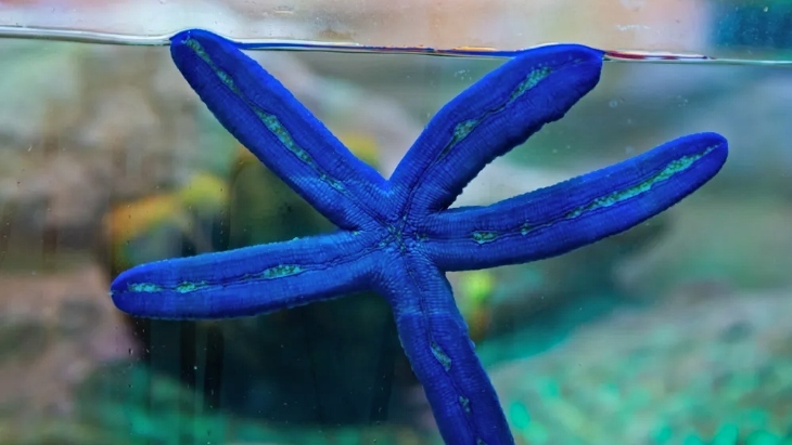 Sensory activities for toddlers Sydney