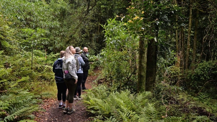 Blue Mountains Botanic Garden Mount Tomah.