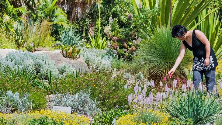 Connections Garden Tour Mount Annan