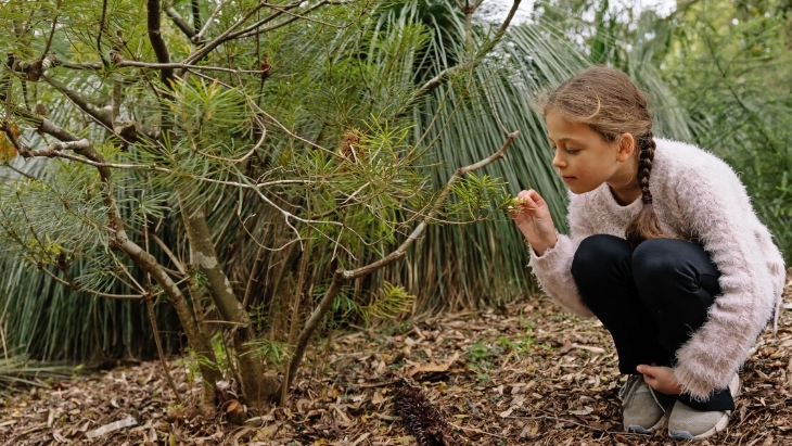 Budding Botanists Mount Annan