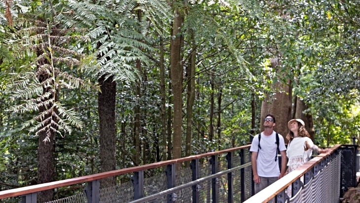 Blue Mountains Botanic Garden Mount Tomah