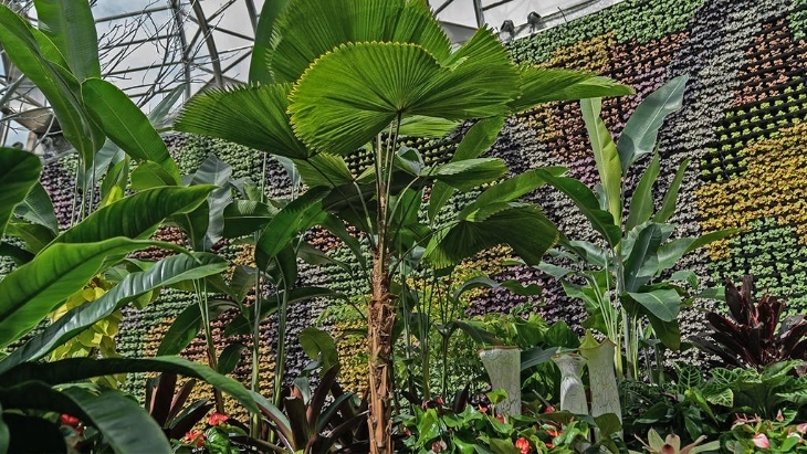 Royal Botanic Garden Sydney The Calyx