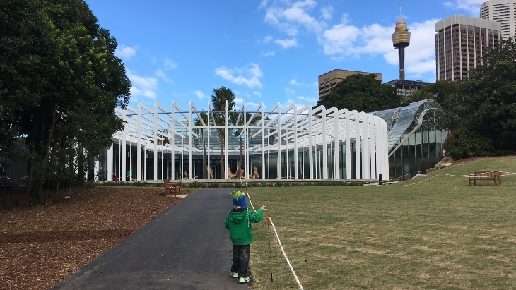 The Calyx