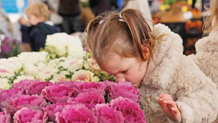 EQ Markets at the Entertainment Quarter