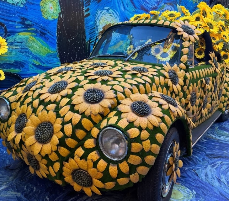 Sunflowers and Swirls The Grounds