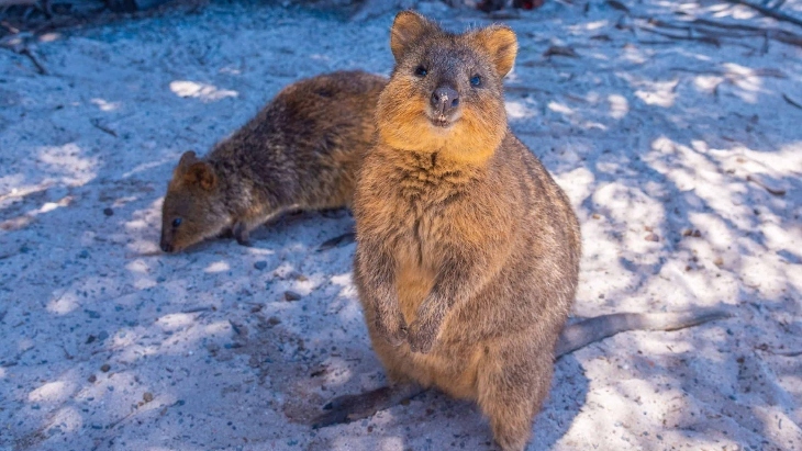 Best places to travel with kids