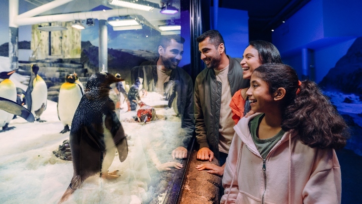 SEA LIFE Sydney Aquarium