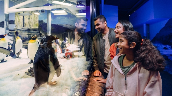 Free Entry to SEA LIFE Sydney Aquarium 