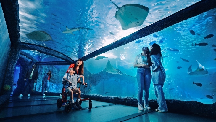 Quiet Morning at SEA LIFE Sydney Aquarium