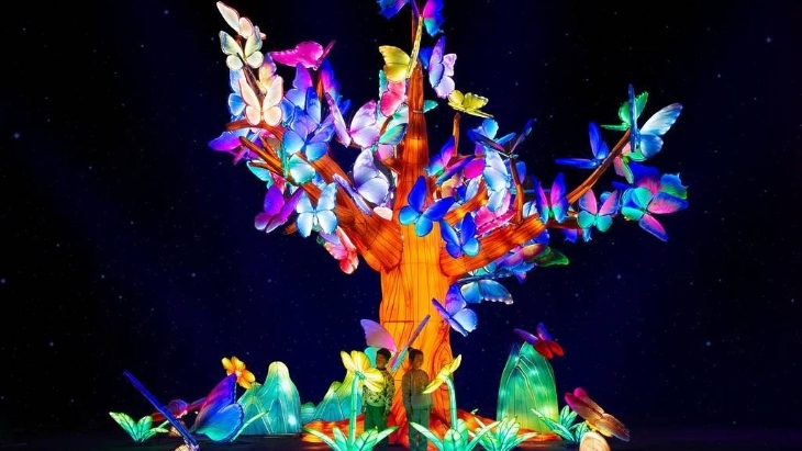 GLOW at Sydney Zoo