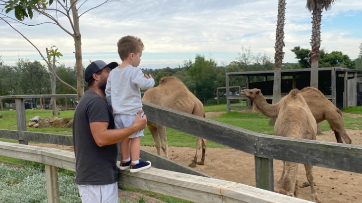Kid looking at camels at Sydney Zoo