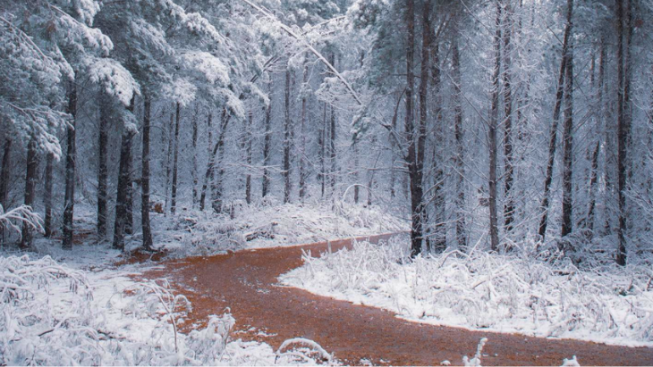 Snow in Shooters Hill NSW