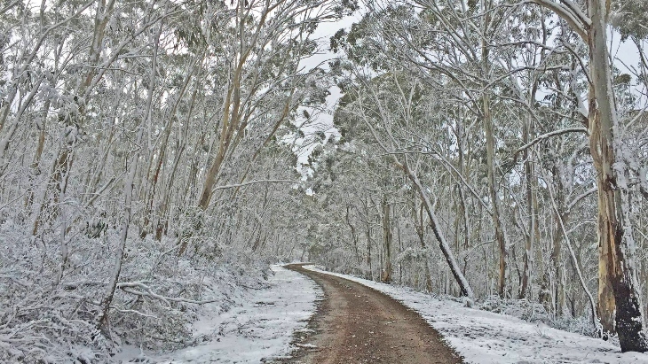 Snow on the way to the Jenolan Caves NSW