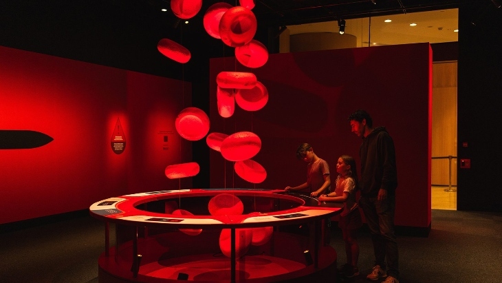 Bloodsuckers: Nature's Vampires at Australian Museum