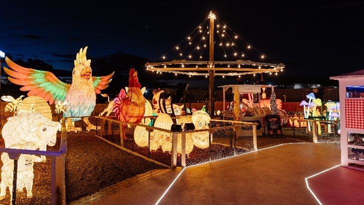 Lightfields at The Vineyard