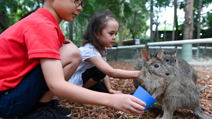 Featherdale Wildlife Park