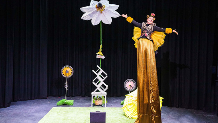 A Bee Story Brisbane