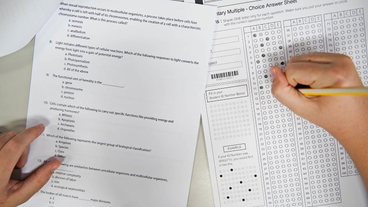 Naplan test paper