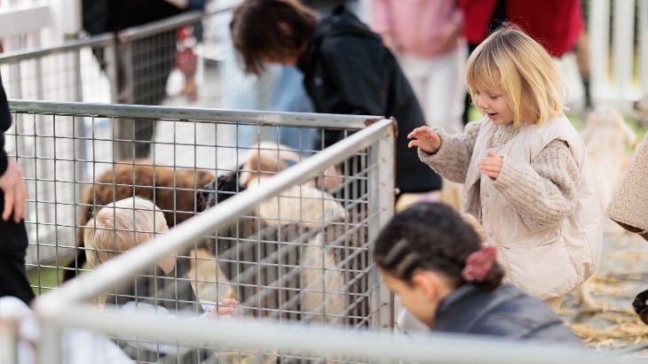 A petting zoo at St Catherine's Magnolia Fair
