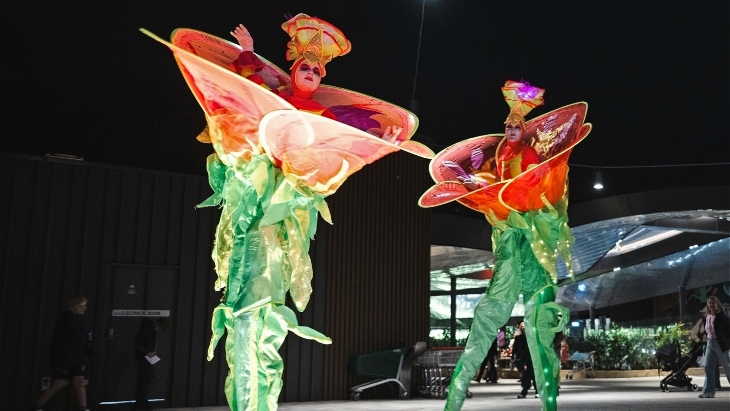 Lane Cove Festival