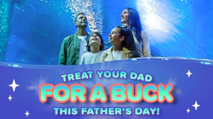 SEA LIFE Sydney Aquarium Father's Day