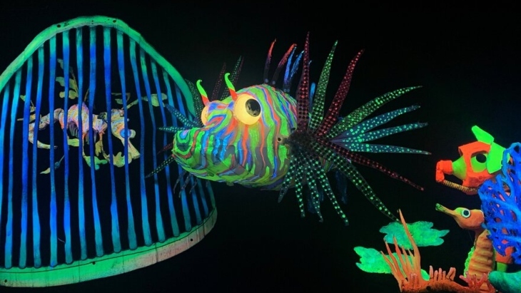 Dreamer in the Deep