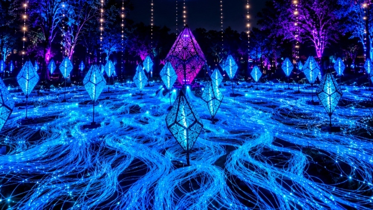 Echoes – Moon Garden at Bella Vista Farm