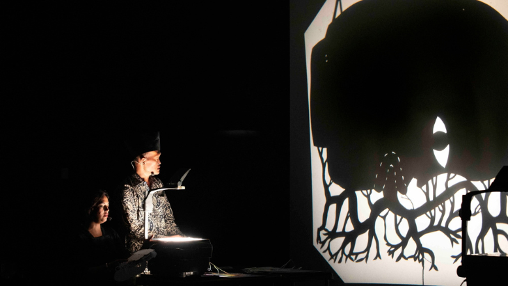 MHNSW Shadow Play