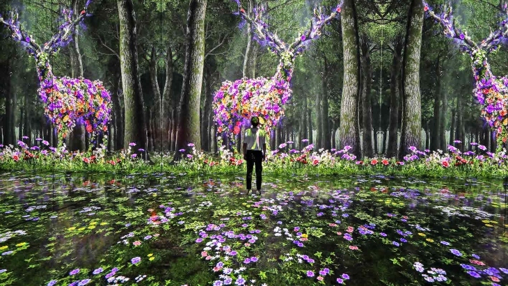 ARTE Museum Forest Installation