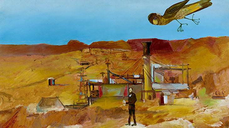 A bird flies above a mine in Australia 