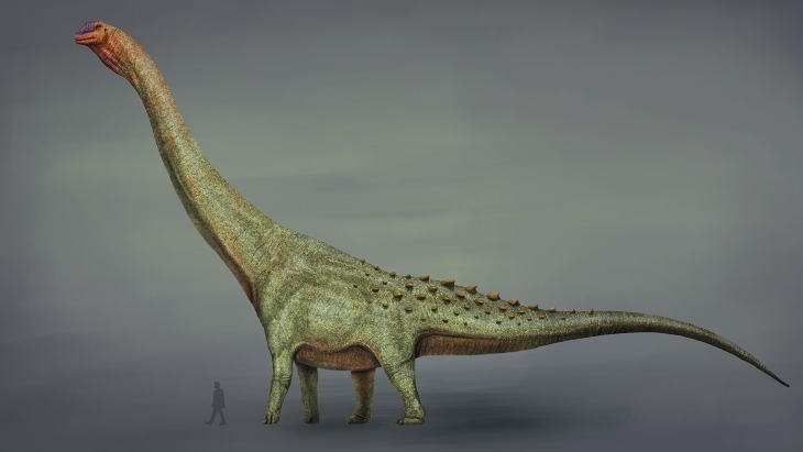 Patagotitan mayorum