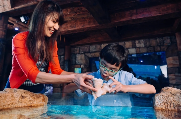 Mother and son looking at sea animals at SEA LIFE Sydney Aquarium