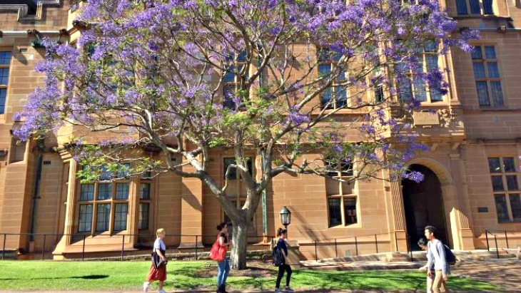 University of Sydney