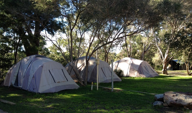 Lane Cove National Park