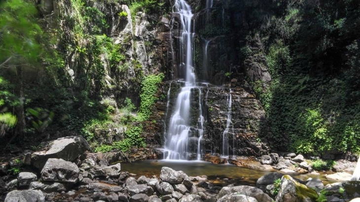 Visiting Minnamurra Rainforest 