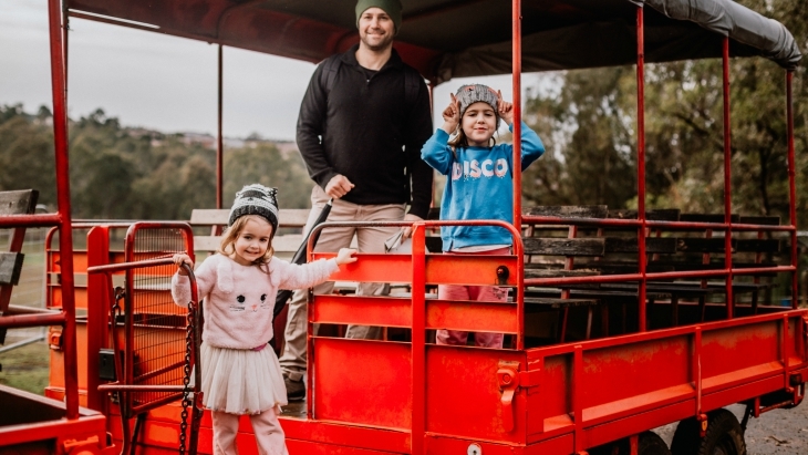 Up Close With The Animals at Calmsley Hill City Farm