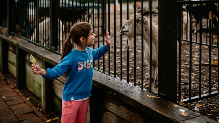 Calmsley Hill City Farm