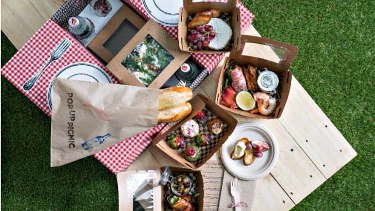 Pop Up Picnic