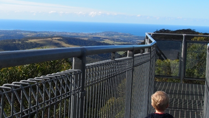 ellaslist Review: Zipping Through The Illawarra Fly Treetop Adventure