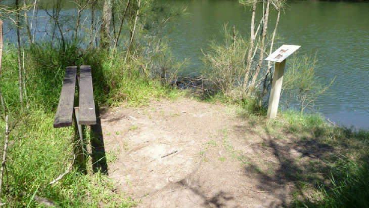 Bush walks Sydney Young Kids